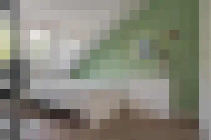 Morra 21 Zwolle thumbnail 37