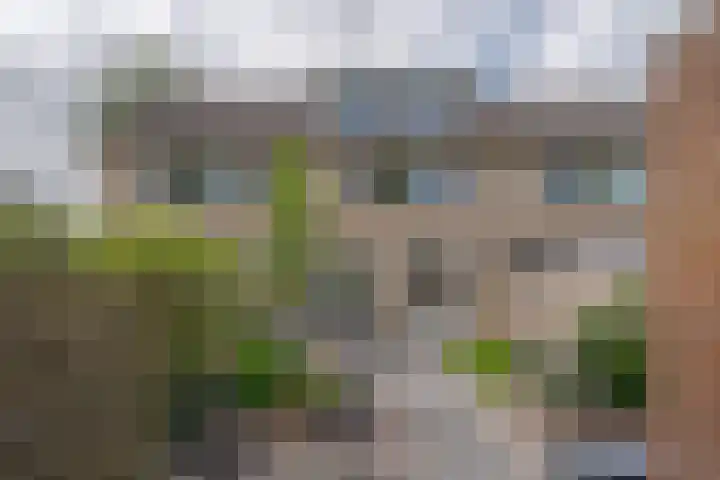 Morra 21 Zwolle thumbnail 4