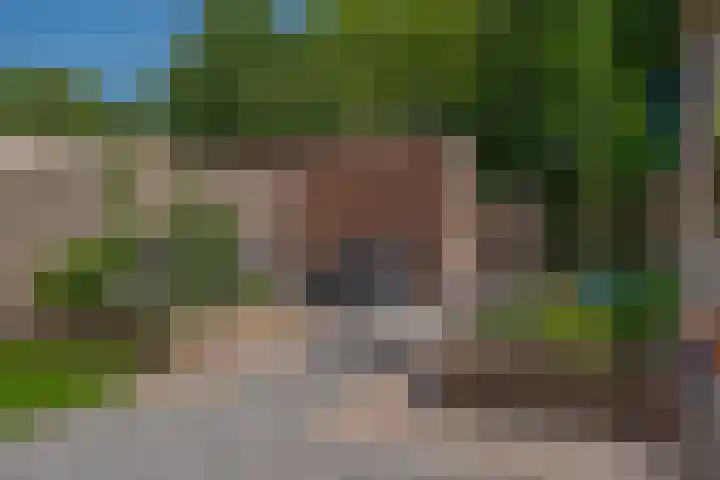 Morra 21 Zwolle thumbnail 43