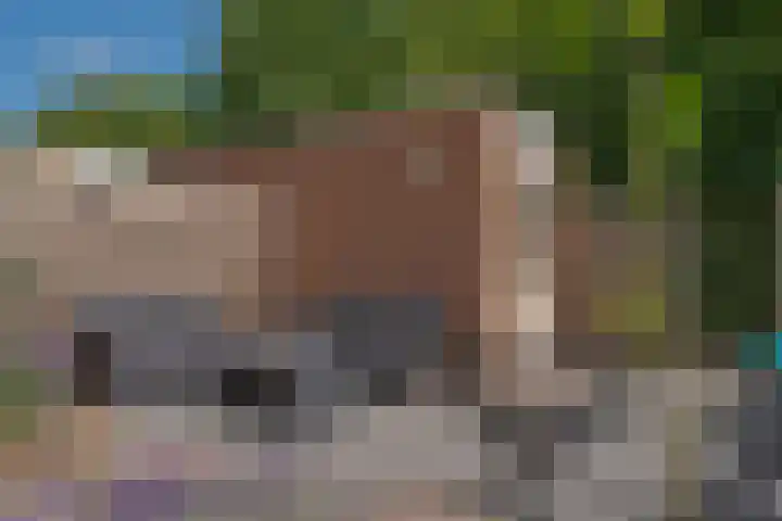 Morra 21 Zwolle thumbnail 45