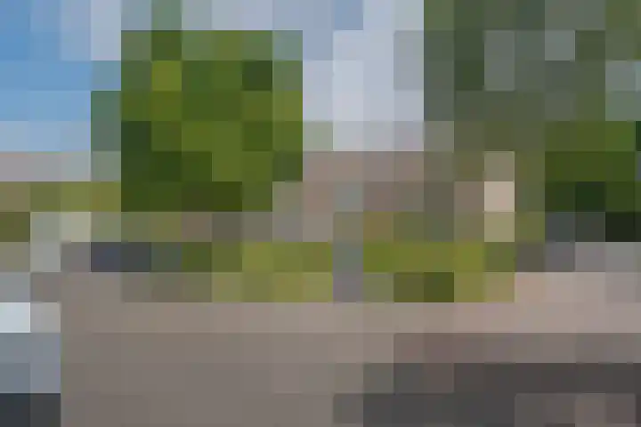 Morra 21 Zwolle thumbnail 48