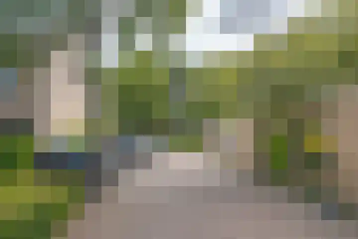 Morra 21 Zwolle thumbnail 50