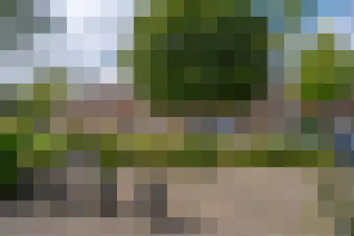 Morra 21 Zwolle thumbnail 7