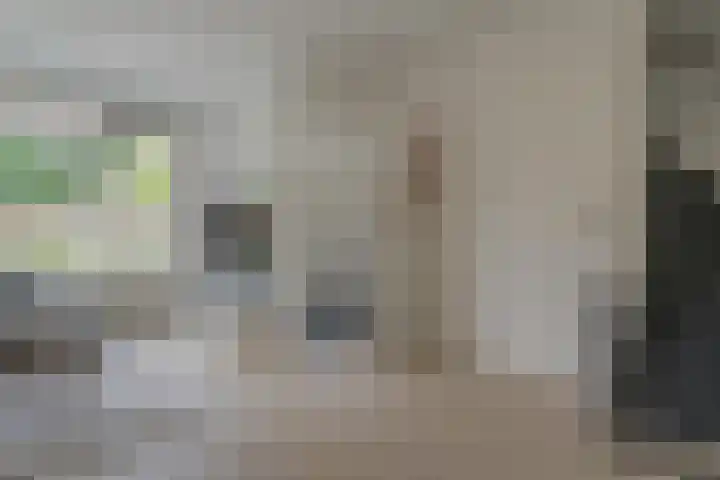 Morra 21 Zwolle thumbnail 9