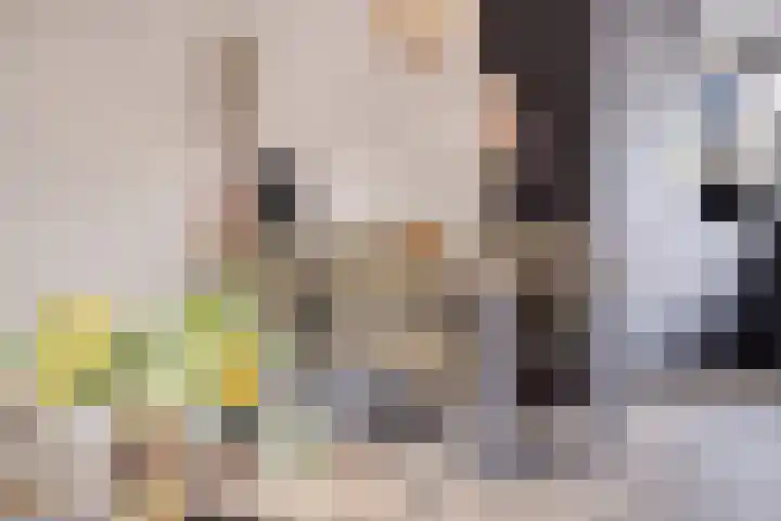 Morra 42 Zwolle thumbnail 11