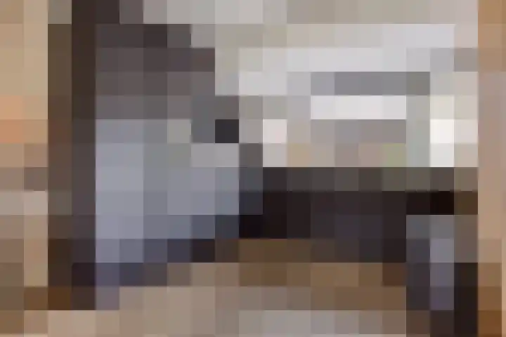 Morra 42 Zwolle thumbnail 15