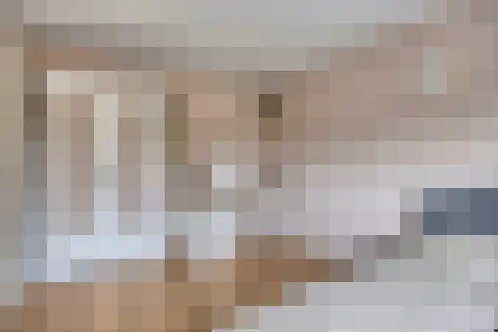 Morra 42 Zwolle thumbnail 21