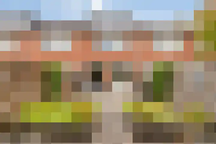 Morra 42 Zwolle thumbnail 34