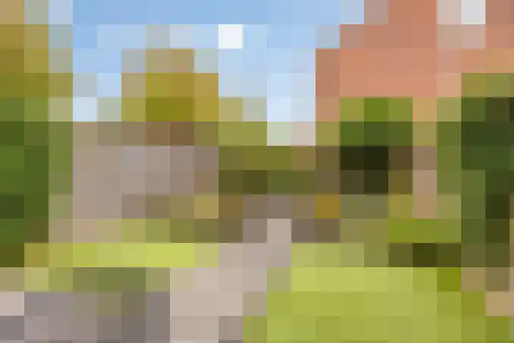 Morra 42 Zwolle thumbnail 36