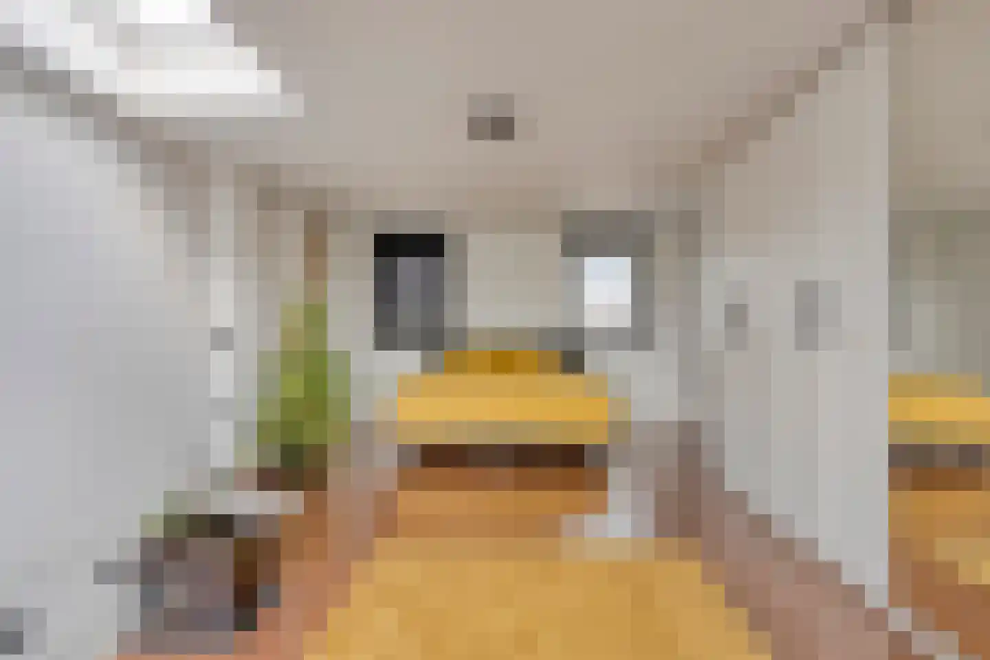 Morrahof 4 Amsterdam thumbnail 22