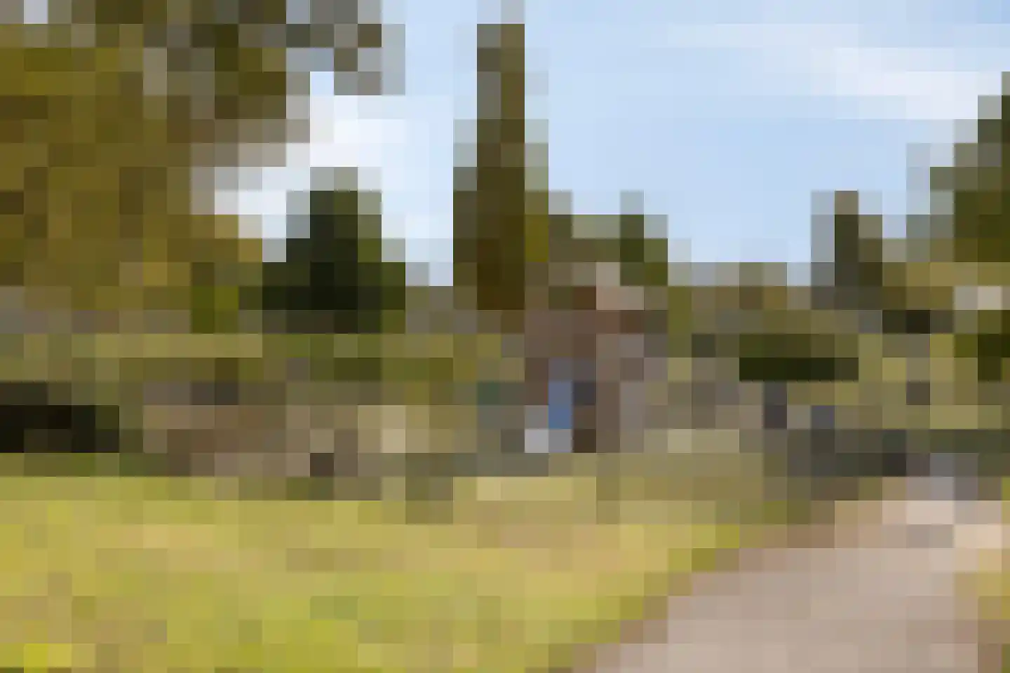 Morrahof 4 Amsterdam thumbnail 26