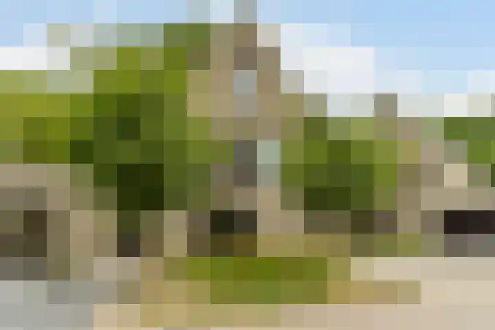 Morrisonstraat 4 Tilburg thumbnail 33