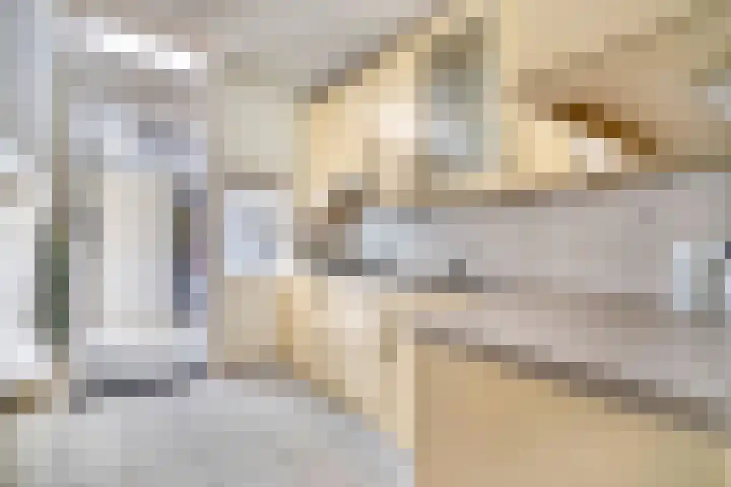Morskade 11 Leiden thumbnail 19