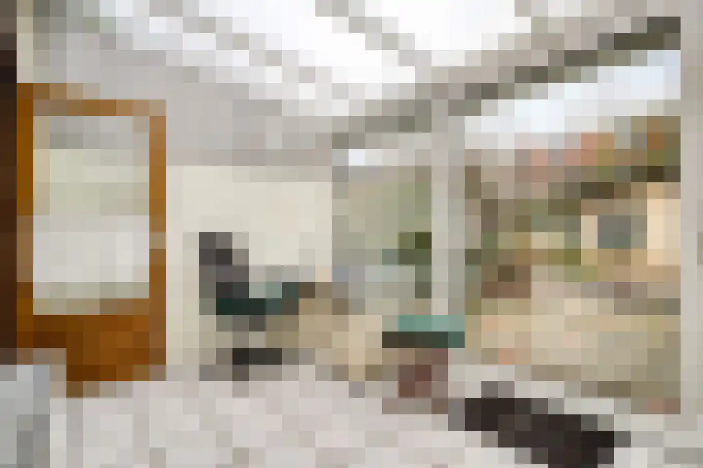 Morskade 11 Leiden thumbnail 23
