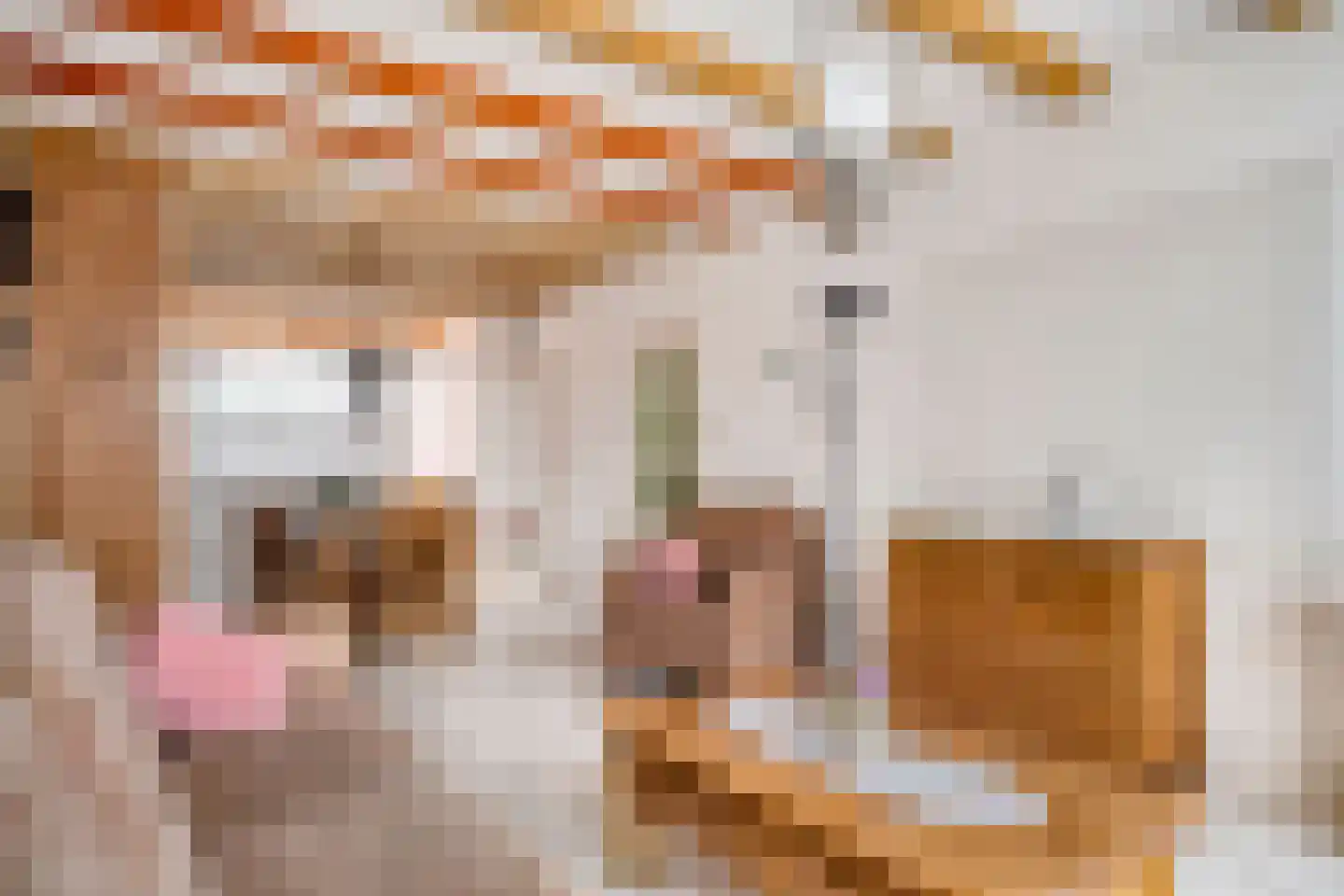 Morskade 11 Leiden thumbnail 5