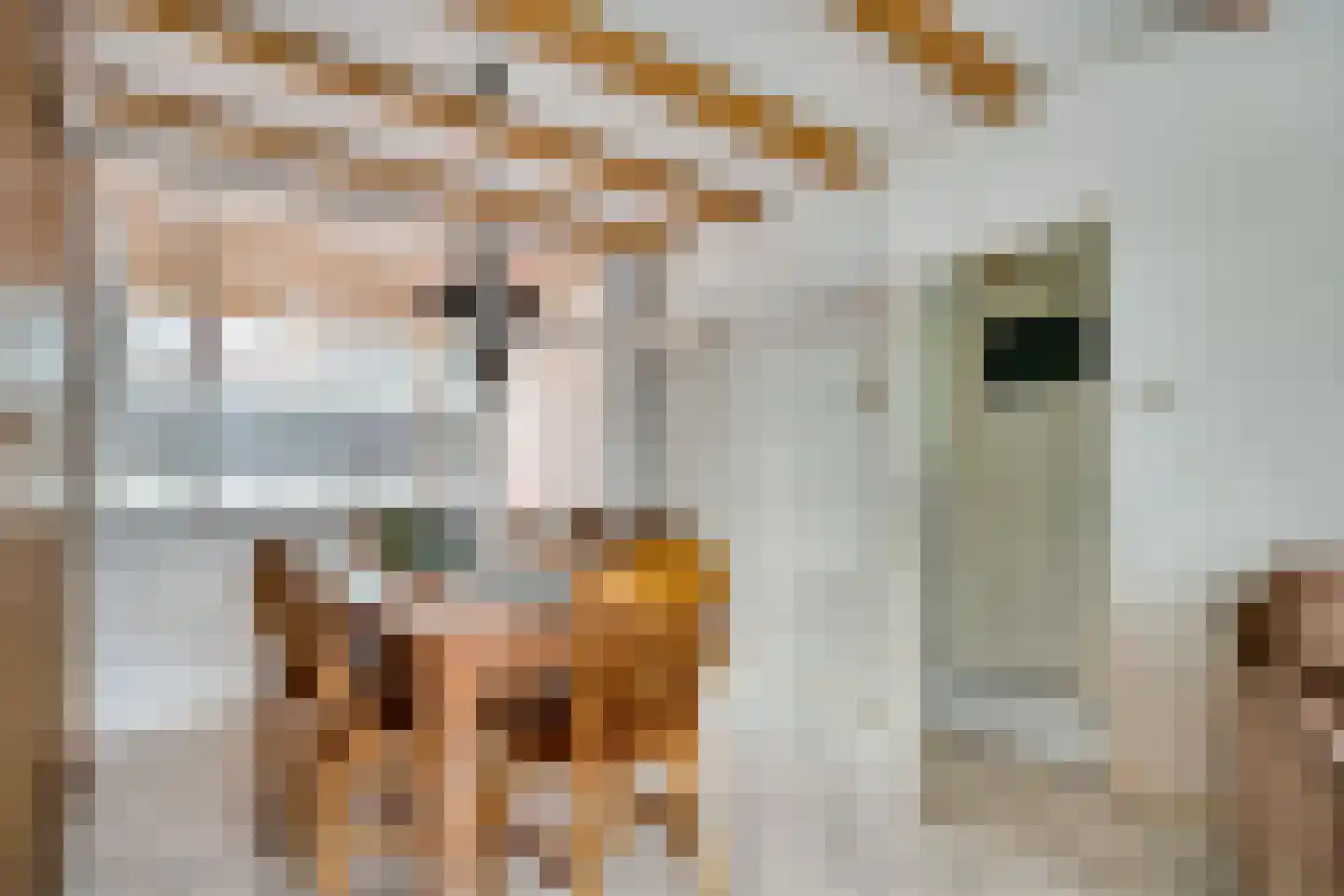 Morskade 11 Leiden thumbnail 7