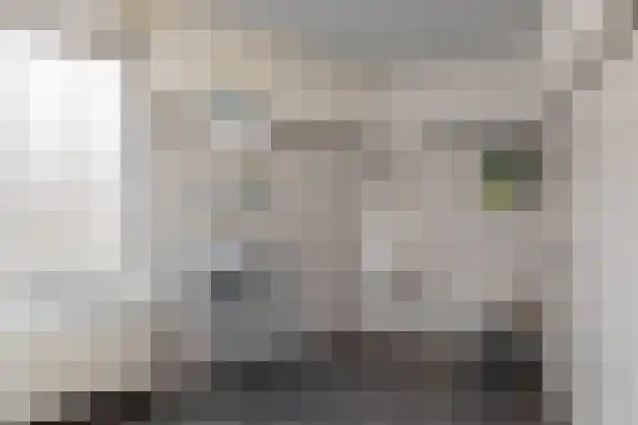 Morssingel 177 Leiden thumbnail 6