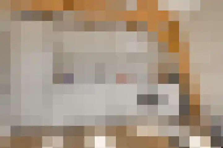 Morsweg 75 C Leiden thumbnail 10