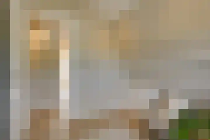 Morsweg 75 C Leiden thumbnail 14