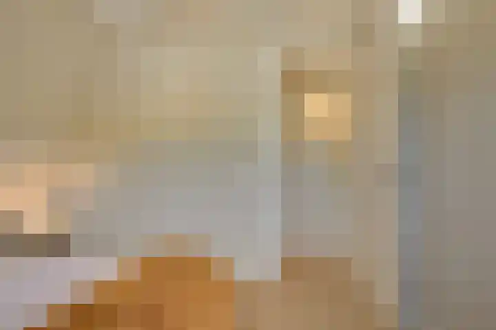 Morsweg 75 C Leiden thumbnail 19