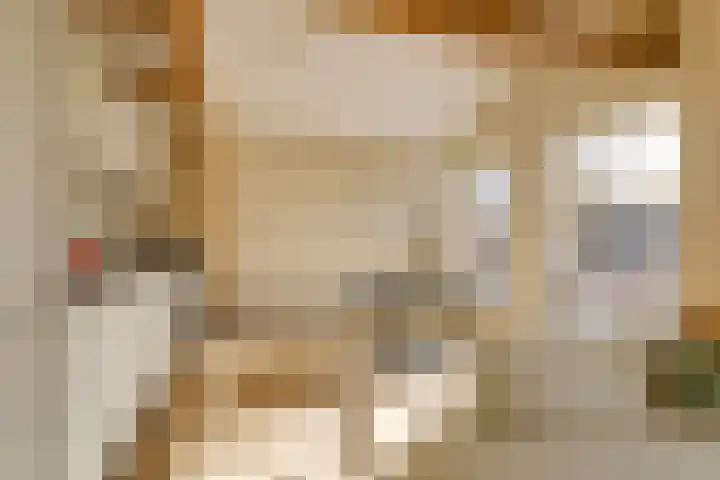 Morsweg 75 C Leiden thumbnail 6