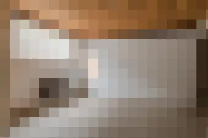 Mortel 23 Mook thumbnail 38
