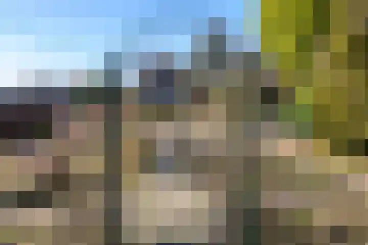 Mortel 23 Mook thumbnail 53