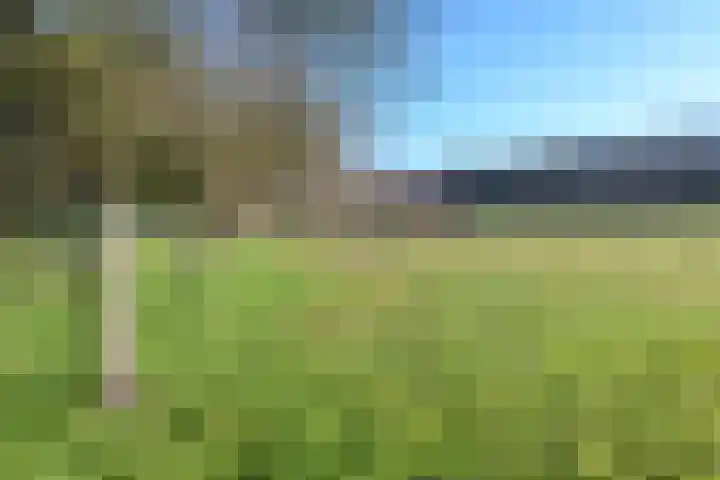 Mortel 23 Mook thumbnail 55