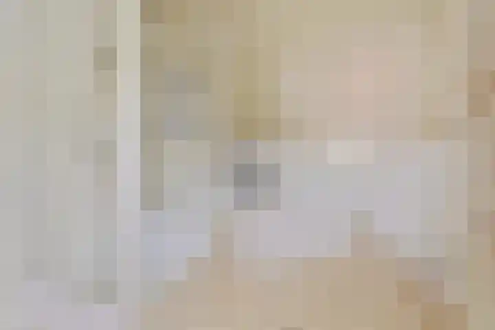 Mortel 33 Roggel thumbnail 18