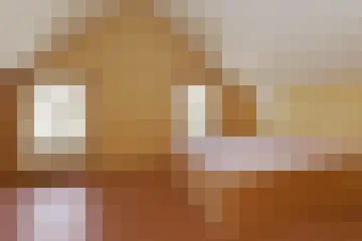 Mortel 33 Roggel thumbnail 20