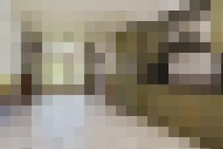Mortel 33 Roggel thumbnail 35