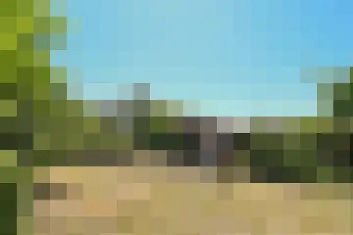 Mortel 33 Roggel thumbnail 47