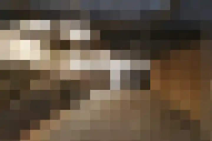 Mortel 33 Roggel thumbnail 55