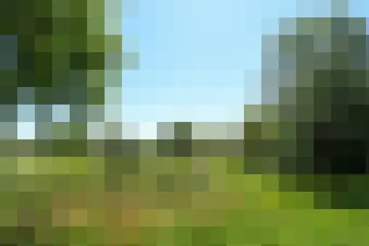 Mortel 33 Roggel thumbnail 58