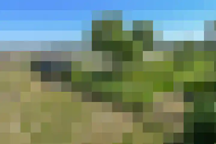 Mortel 33 Roggel thumbnail 62