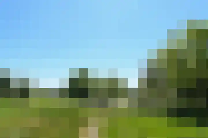 Mortel 33 Roggel thumbnail 63