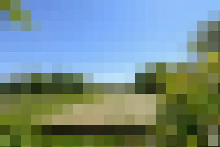 Mortel 33 Roggel thumbnail 67