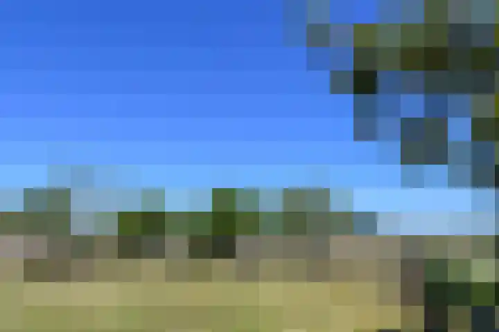 Mortel 33 Roggel thumbnail 68