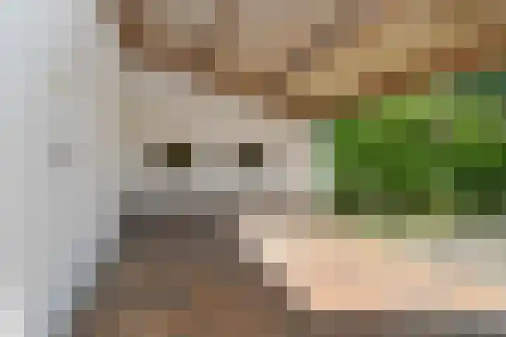 Mortel 33 Roggel thumbnail 9