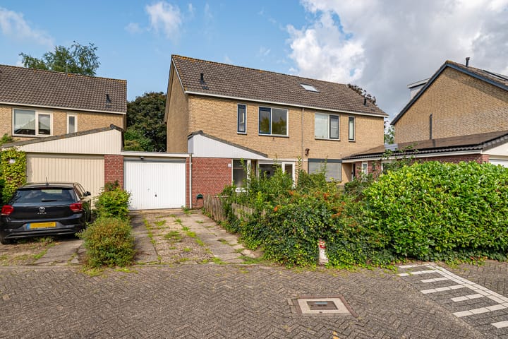 Mos 16 in Huizen foto