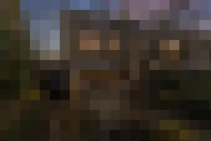 Mos 2 Huizen thumbnail 11