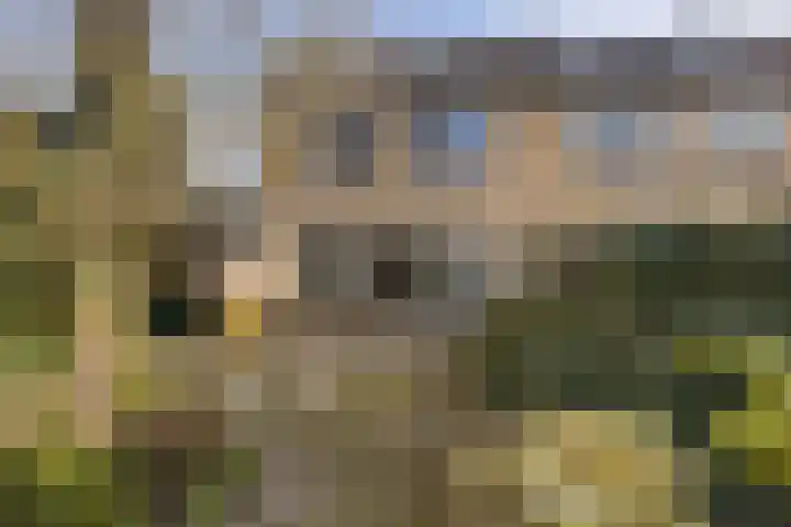 Mos 2 Huizen thumbnail 12