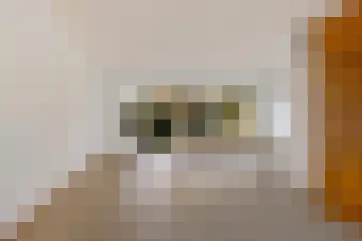 Mos 2 Huizen foto 3
