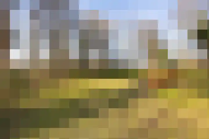 Mos 2 Huizen thumbnail 37