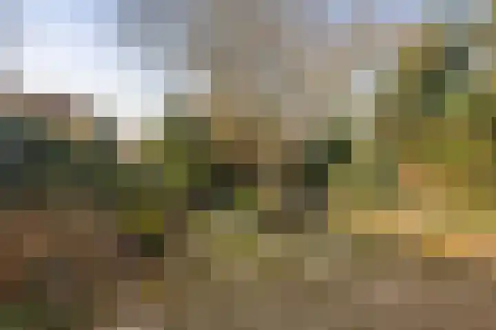 Mos 2 Huizen thumbnail 9