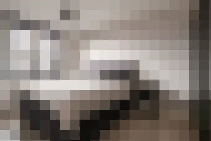 Mosberg 5 Linne thumbnail 12