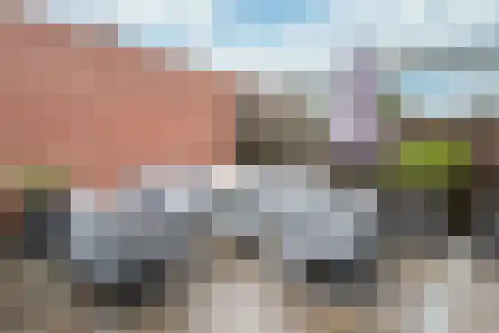 Mosberg 5 Linne thumbnail 17