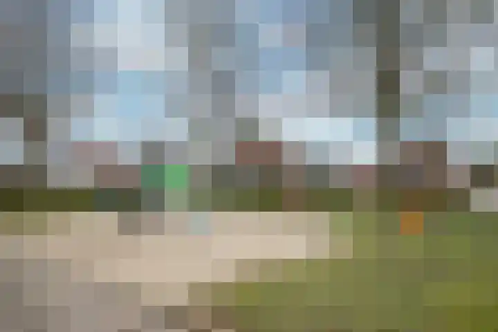 Mosberg 5 Linne thumbnail 25
