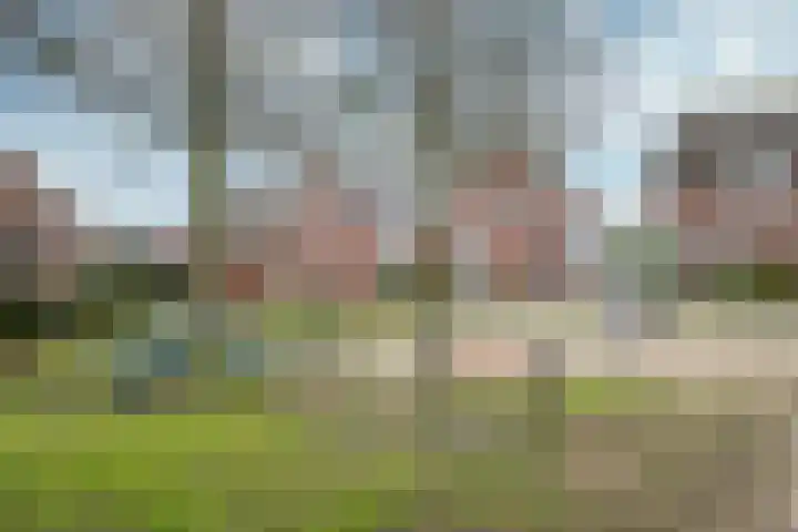 Mosberg 5 Linne thumbnail 26