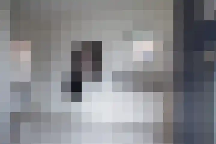 Mosberg 5 Linne thumbnail 9
